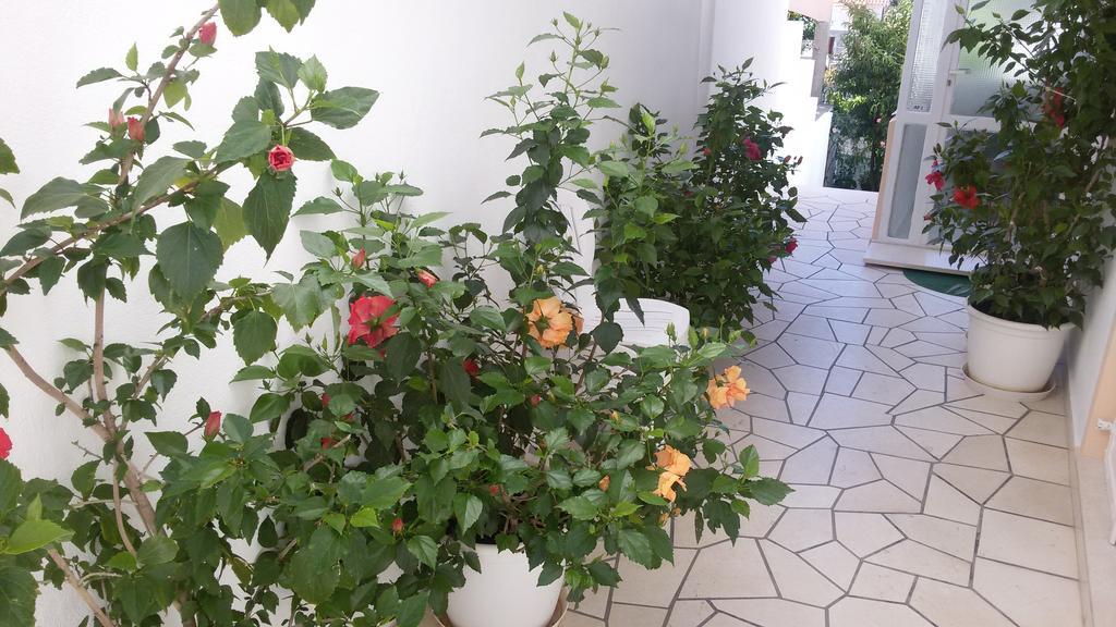 Apartments & Rooms Anita Хвар Екстериор снимка