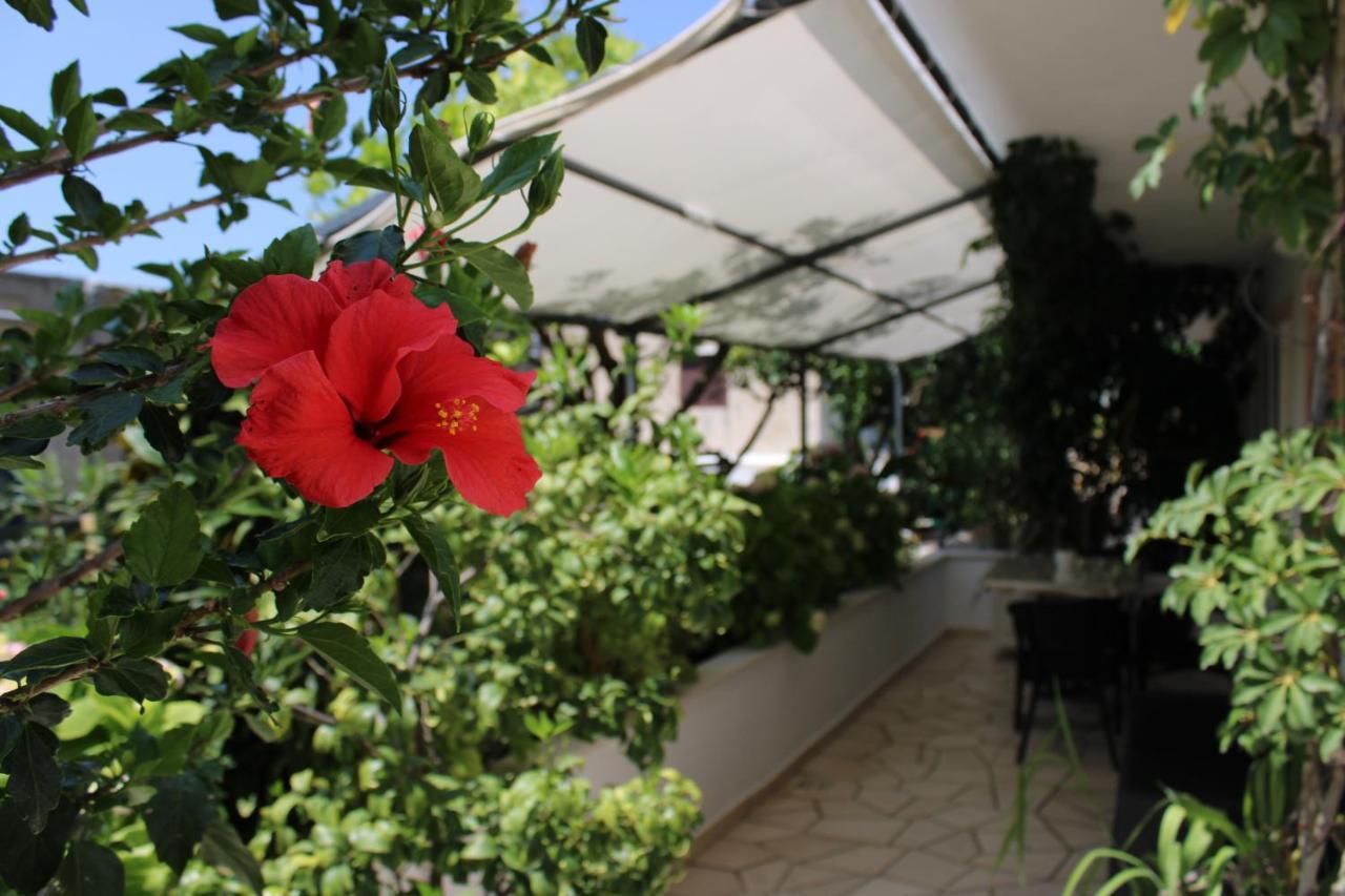 Apartments & Rooms Anita Хвар Екстериор снимка
